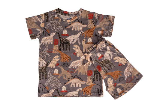 Grey Dino Boys Co-ord Set