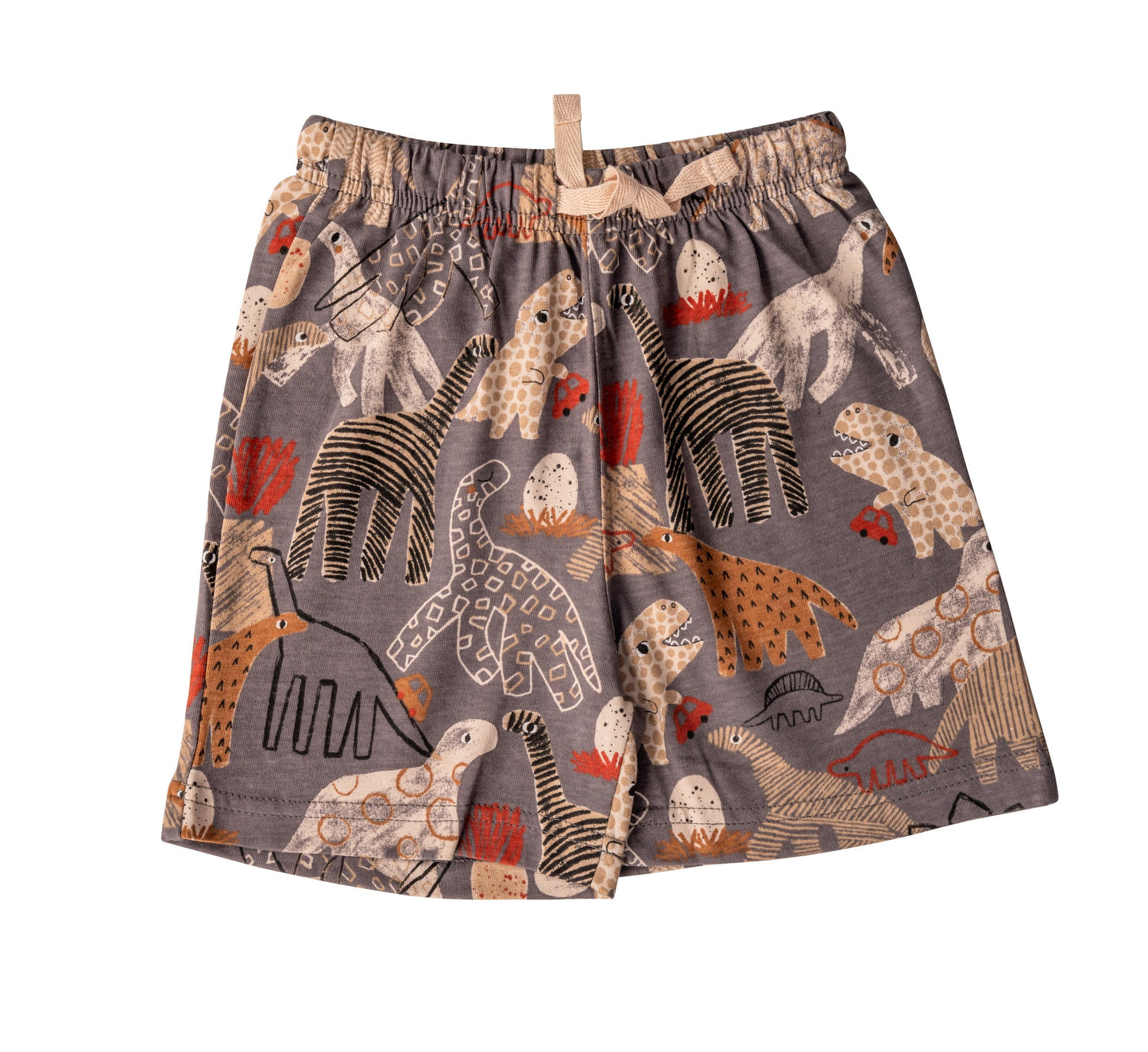 Grey Dino Boys Co-ord Set