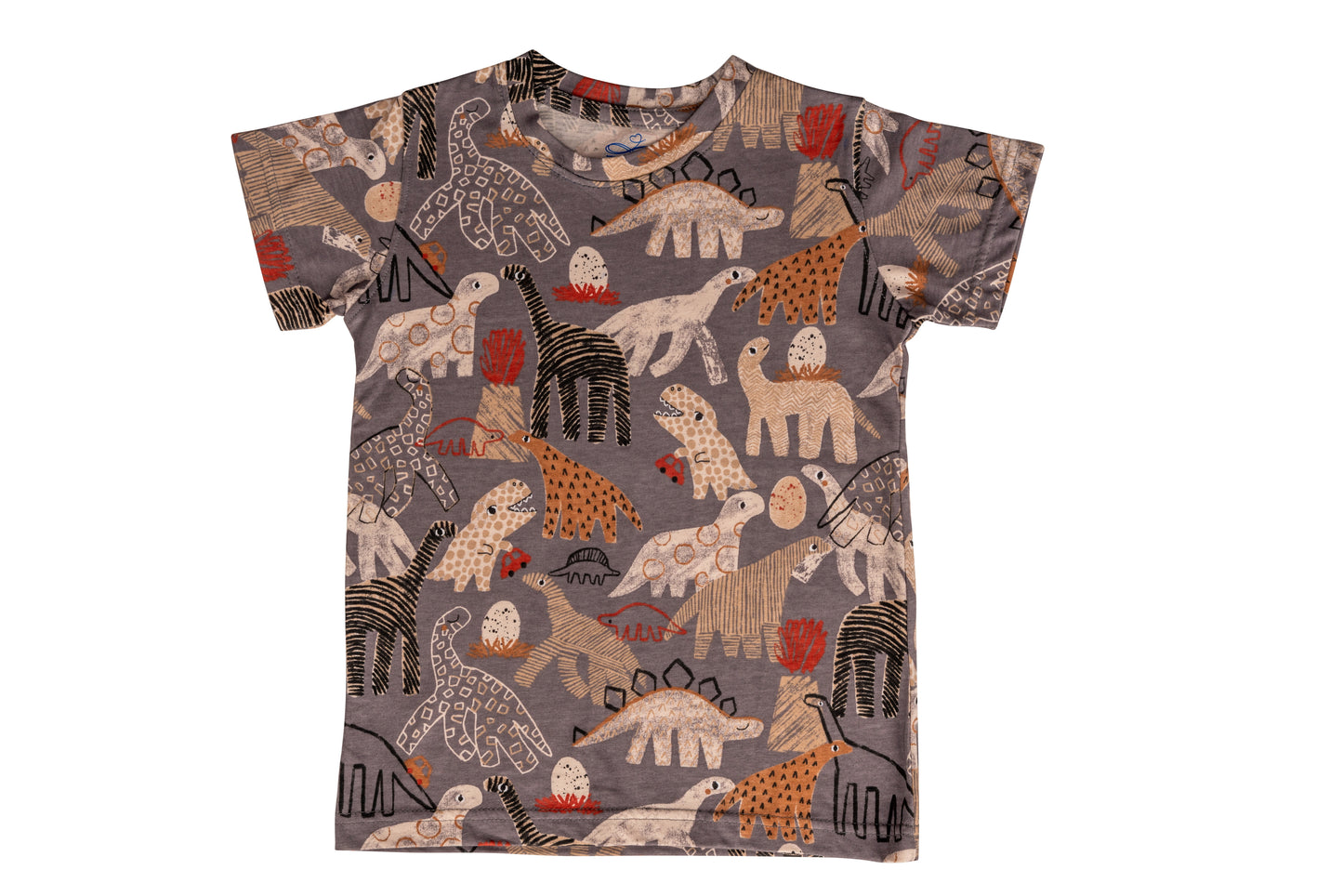 Grey Dino Boys Co-ord Set