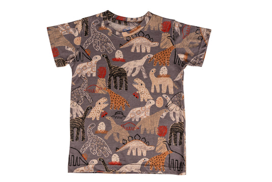 Grey Dino Boys Co-ord Set